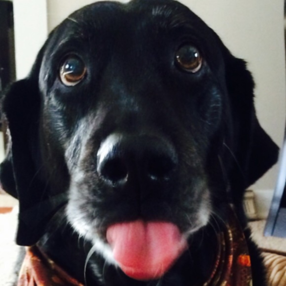 Meet your Posher, Mechelle